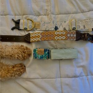 Fox + Hound Dog Collar Set